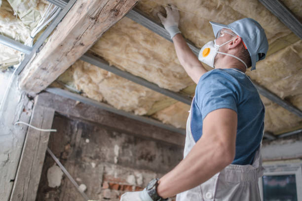Best Insulation Maintenance and Repair in Melody Hill, IN